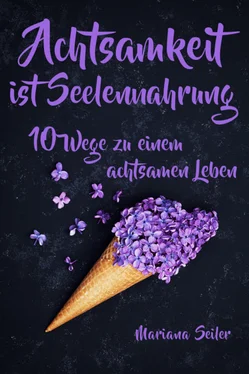 Mariana Seiler Achtsamkeit: ACHTSAMKEIT IST SEELENNAHRUNG! Achtsamkeit als Schlüssel zu tiefem Wohlbefinden und innerem Frieden: 10 Wege der Achtsamkeit für das Leben und die Seele обложка книги