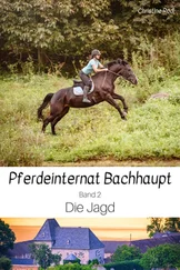 Christine Rödl - Die Jagd