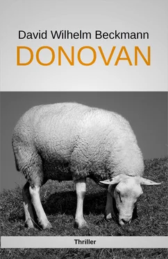David Wilhelm Beckmann Donovan обложка книги