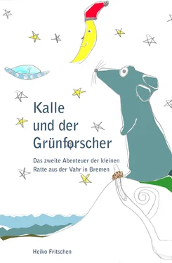 Heiko Fritschen Kalle und der Grünforscher обложка книги