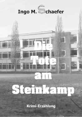 Ingo M Schaefer Die Tote am Steinkamp обложка книги
