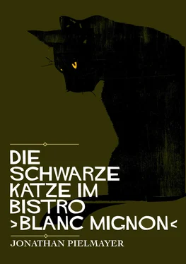 Jonathan Pielmayer Die schwarze Katze im Bistro ›blanc mignon‹ обложка книги