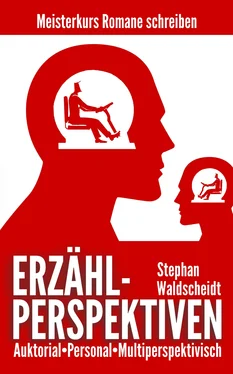 Stephan Waldscheidt ERZÄHLPERSPEKTIVEN: Auktorial, personal, multiperspektivisch обложка книги