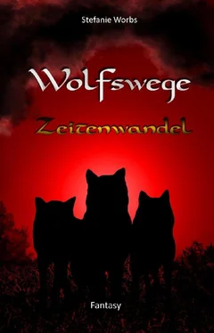 Stefanie Worbs Wolfswege 4 обложка книги