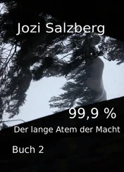 Jozi Salzberg - 99,9 % - Buch 2