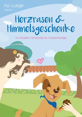 Pia Wunder Herzrasen & Himmelsgeschenke обложка книги