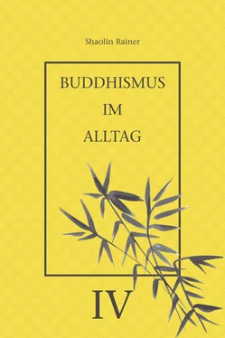 Rainer Deyhle Buddhismus im Alltag IV обложка книги