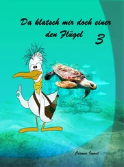 Carmen Immel - Da klatsch mir doch einer den Flügel ...