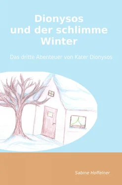 Sabine Hoffelner Dionysos und der schlimme Winter обложка книги