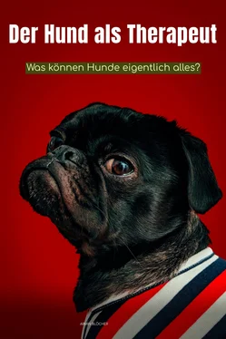 Armin Blöcher Der Hund als Therapeut обложка книги