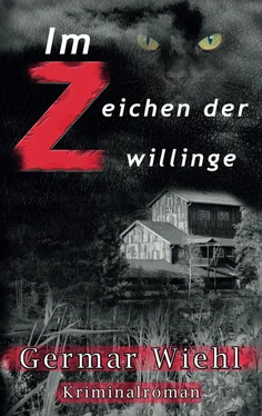 Germar Wiehl Im Zeichen der Zwillinge обложка книги