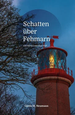 Gerda M. Neumann Schatten über Fehmarn обложка книги