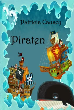 Patricia Causey Piraten обложка книги