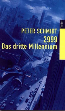 Peter Schmidt 2999 - DAS DRITTE MILLENNIUM обложка книги