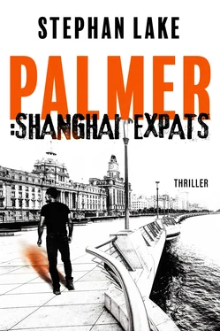 Stephan Lake Palmer :Shanghai Expats обложка книги