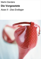 Martin Danders - Die Vorgesetzte