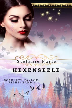 Stefanie Purle Hexenseele обложка книги