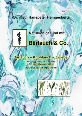 Dr. Hanspeter Hemgesberg Natürlich gesund mit Bärlauch & Co. обложка книги