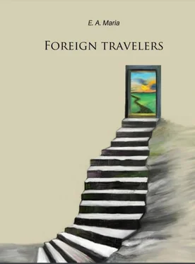 Anna Ercsei Foreign travelers обложка книги