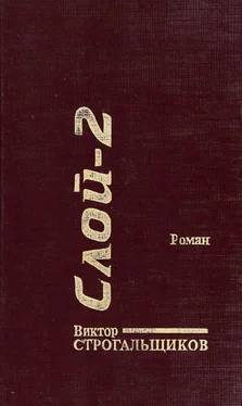 В. Строгальщиков Слой-2 обложка книги