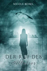 Nicole Beisel - Der Ruf des Albatros