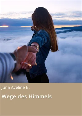 Juna Aveline B. Wege des Himmels обложка книги