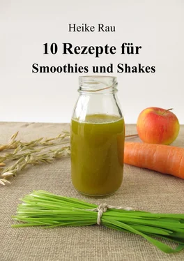 Heike Rau 10 Rezepte für Smoothies und Shakes обложка книги