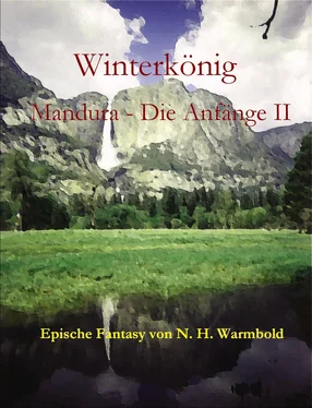 N. H. Warmbold Winterkönig обложка книги