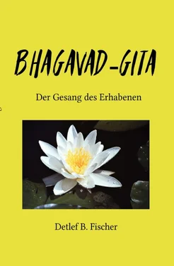 Detlef B. Fischer Bhagavad-Gita обложка книги