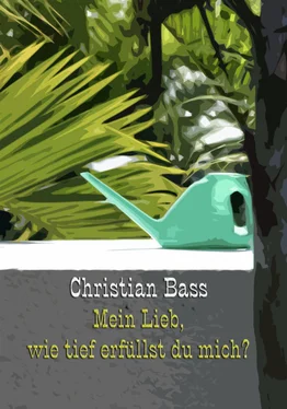 Christian Bass Mein Lieb, wie tief erfüllst du mich? обложка книги
