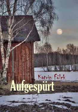 Katrin Fölck Aufgespürt обложка книги