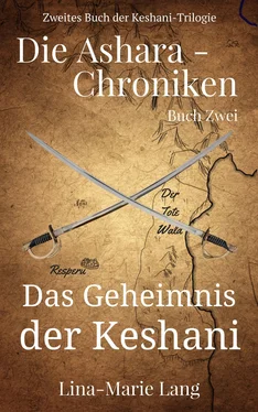 Lina-Marie Lang Das Geheimnis der Keshani обложка книги