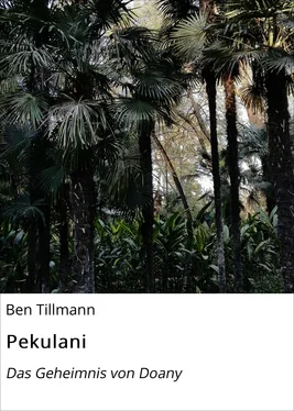 Ben Tillmann Pekulani обложка книги