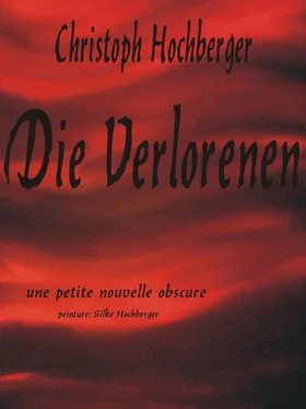 Christoph Hochberger DIE VERLORENEN обложка книги