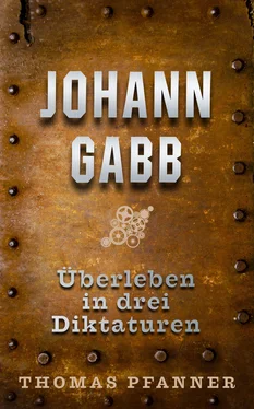 Thomas Pfanner Johann Gabb обложка книги