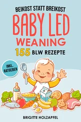 Brigitte Holzapfel - Beikost statt Breikost - Baby Led Weaning - Breifrei für Babys mit 155 BLW Rezepten
