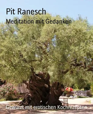 Pit Ranesch Meditation mit Gedanken обложка книги