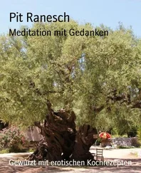 Pit Ranesch - Meditation mit Gedanken