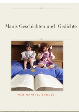 Manfred Sander Manis Geschichten und Gedichte обложка книги