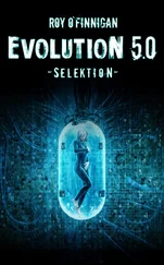 Roy O'Finnigan - Evolution 5.0 - Selektion