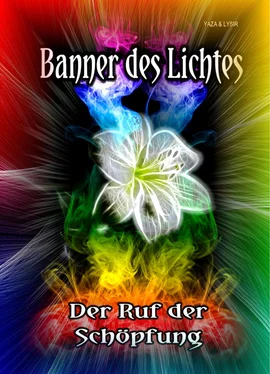 Frater LYSIR Banner des Lichtes обложка книги