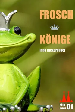 Ingo Lackerbauer Froschkönige обложка книги