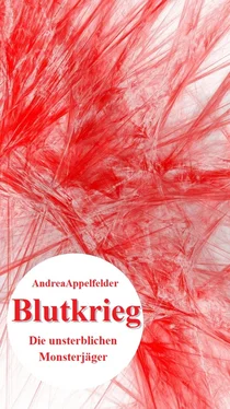 Andrea Appelfelder Blutkrieg обложка книги