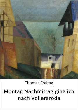 Thomas Freitag Montag Nachmittag ging ich nach Vollersroda обложка книги