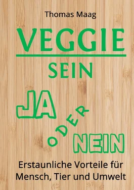 Thomas Maag VEGGIE SEIN JA ODER NEIN обложка книги