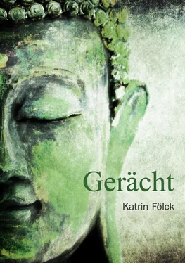 Katrin Fölck Gerächt обложка книги