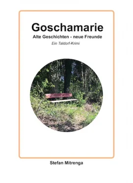 Stefan Mitrenga Goschamarie Alte Geschichten - neue Freunde обложка книги