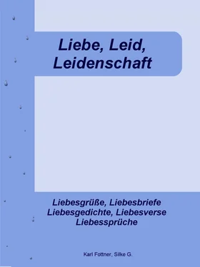 Silke G. Liebe, Leid, Leidenschaft обложка книги