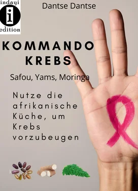 Guy Dantse Kommando Krebs Safou, Moringa, Yams обложка книги