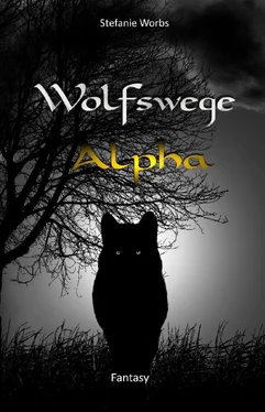 Stefanie Worbs Wolfswege 5 обложка книги